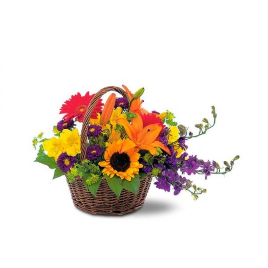 Envoyer ce panier de fleurs aux couleurs vives, et que quelqu'un de ...